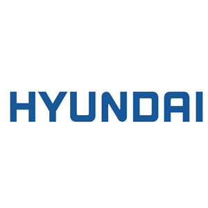 Hyundai security